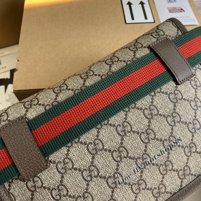 Gucci官網新款包包 古馳493930 gqy4533